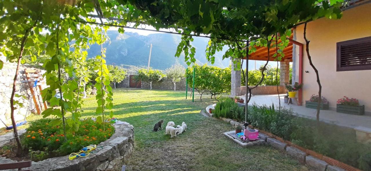 Vila Pegaz Virpazar Exterior foto